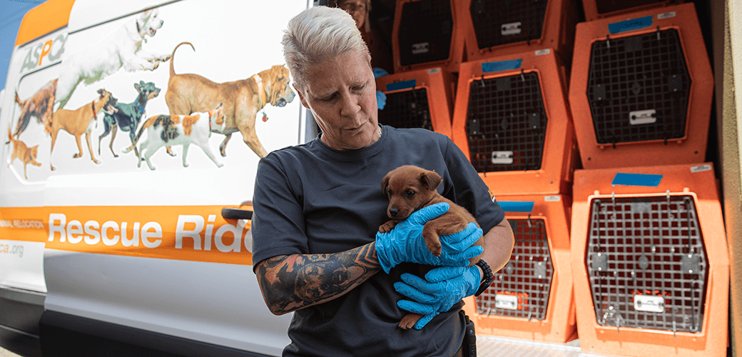 Leverage Web2 credibility with campaigns on X, TikTok, and pet forums, featuring verified rescue stories.